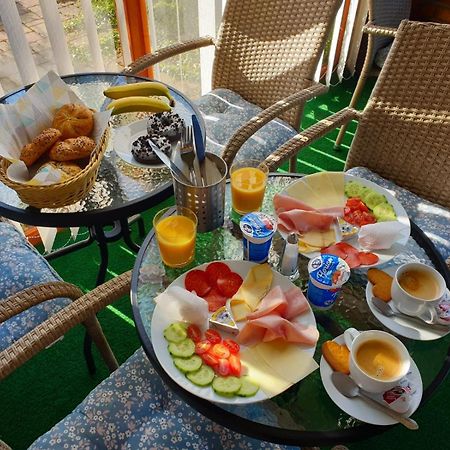 Vila Lipa Nový Bor Екстериор снимка
